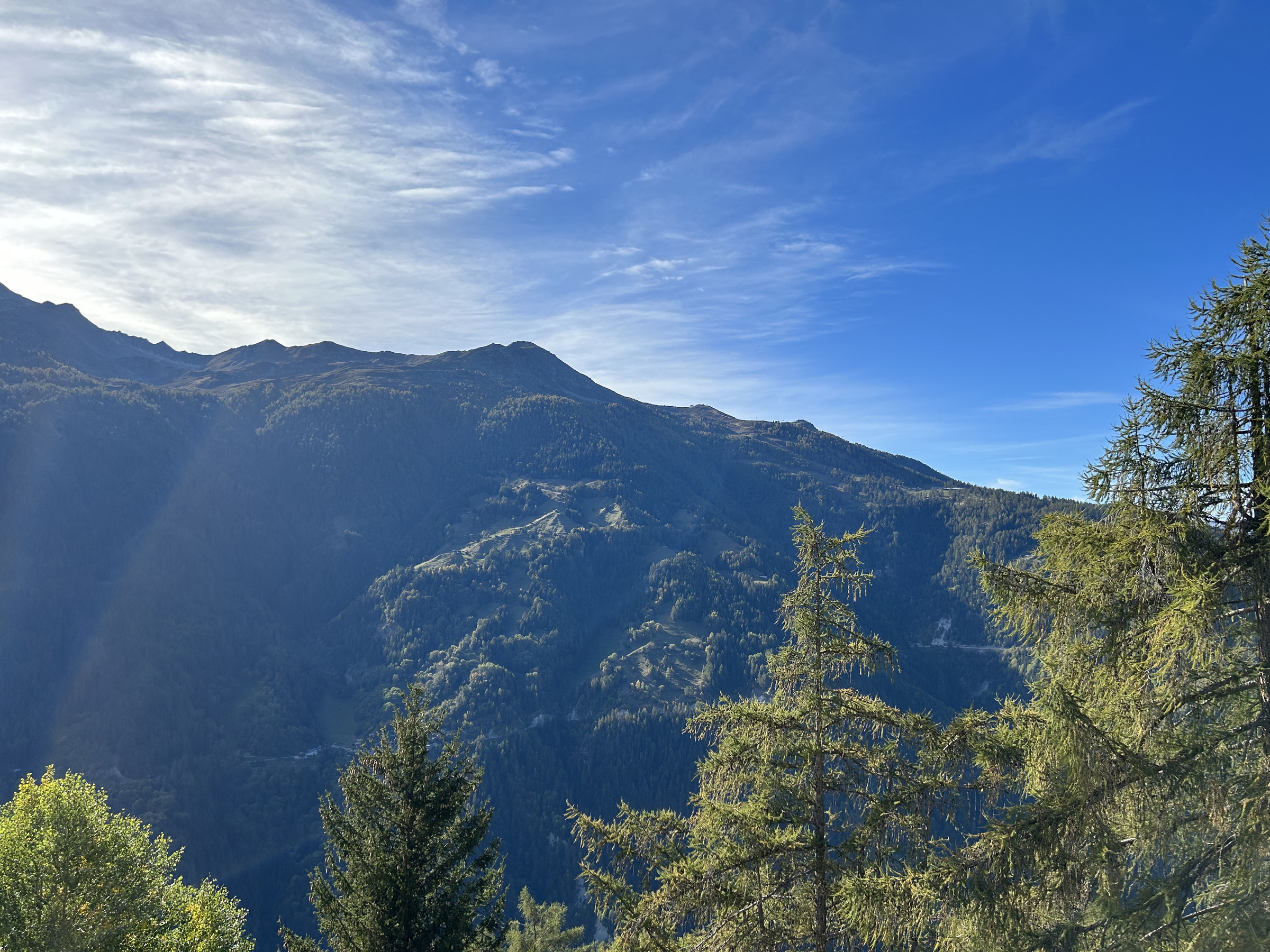Blick vom Chalet Blick vom Chalet