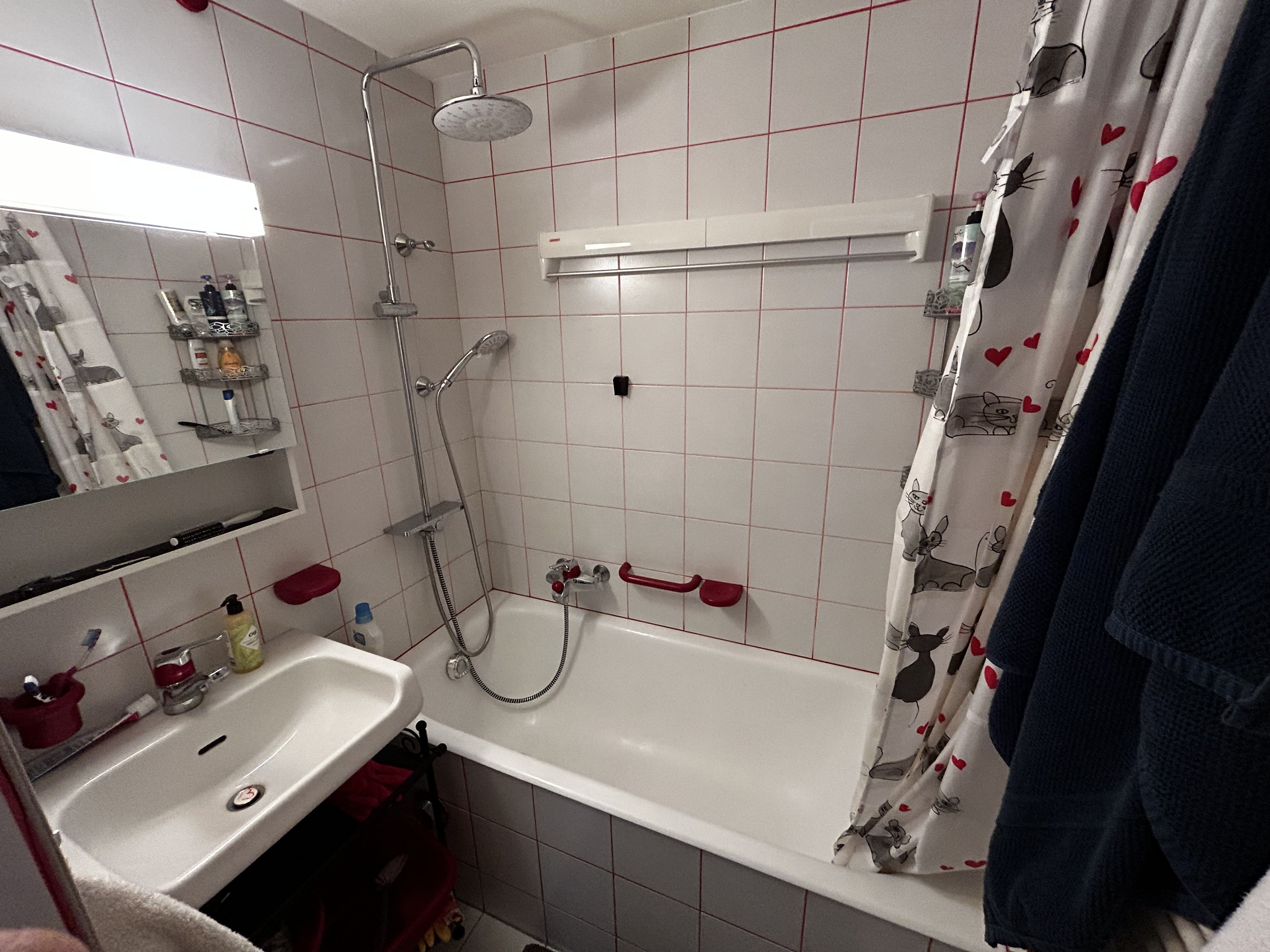 Salle de bain Salle de bain