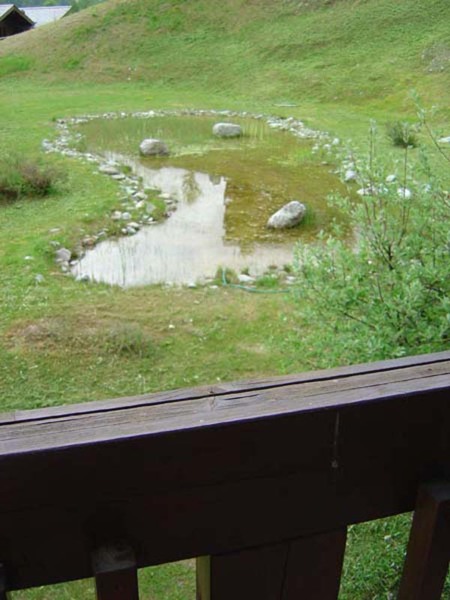 Aussicht Teich Aussicht Teich