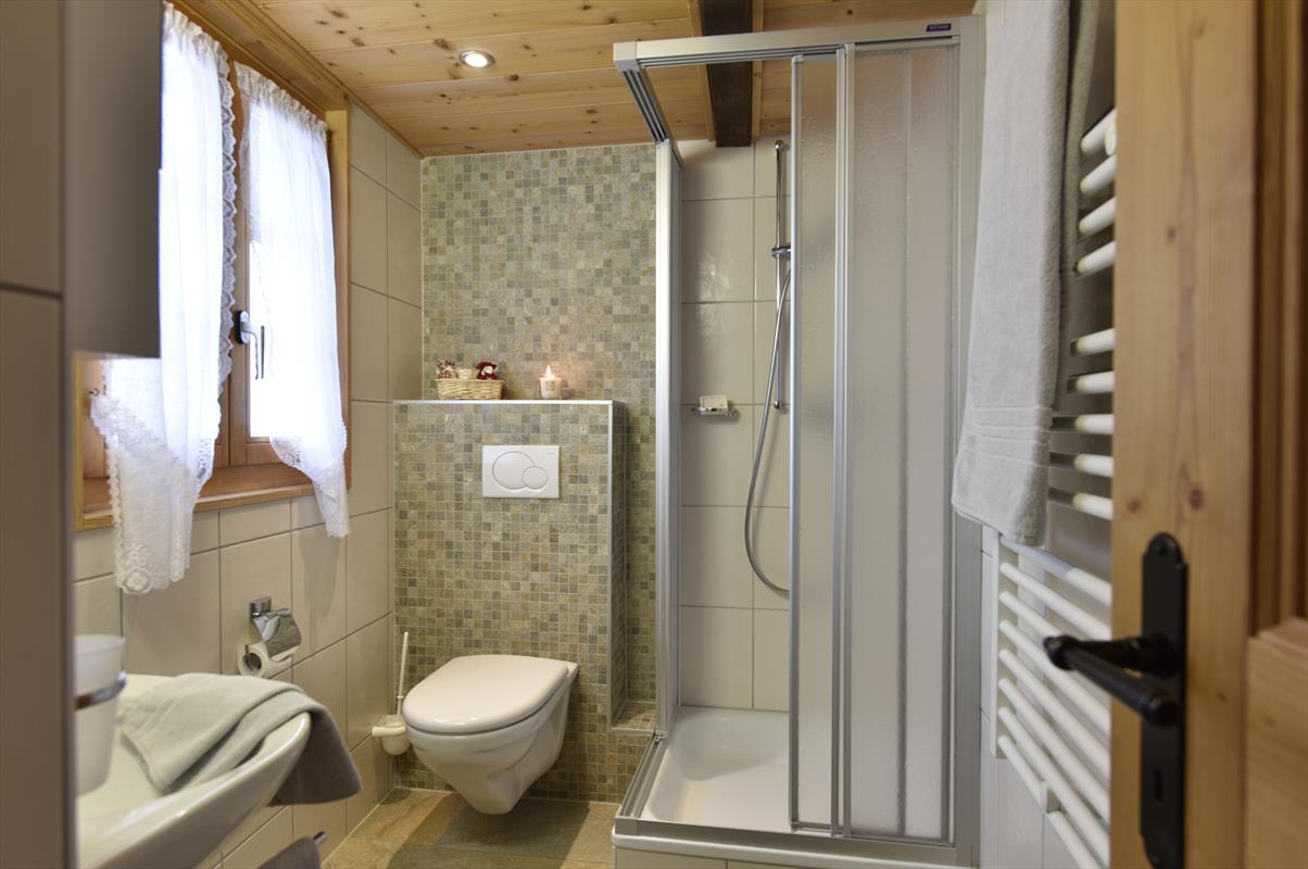 WC + shower WC + shower