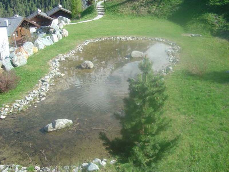 Aussicht Teich Aussicht Teich