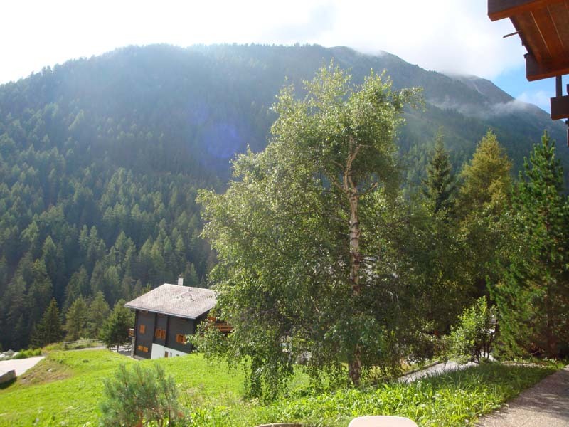 Aussicht Ost Aussicht Ost