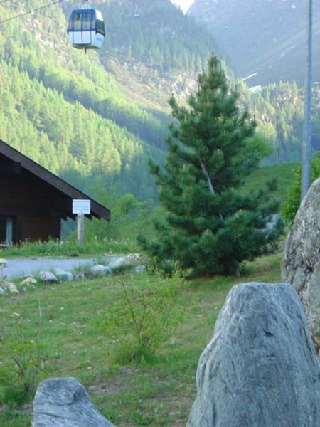 Southern View Southern View