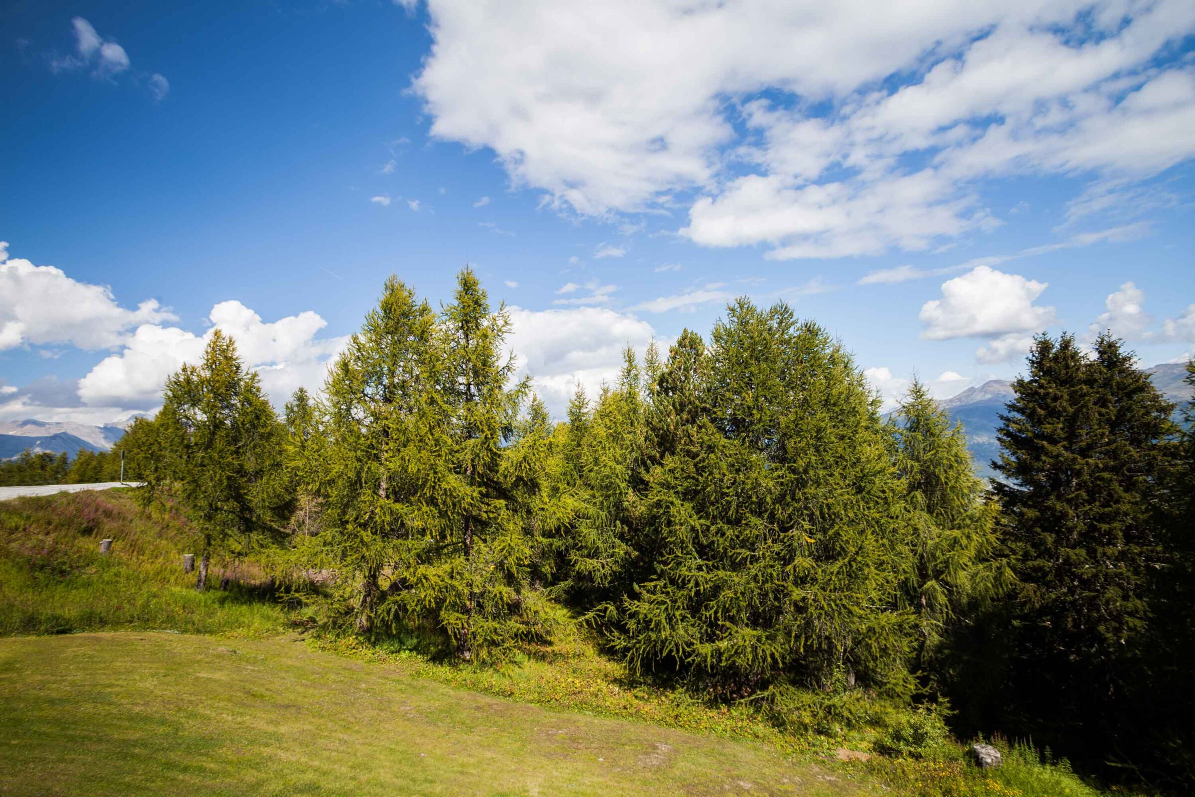 Sommer Aussicht Sommer Aussicht