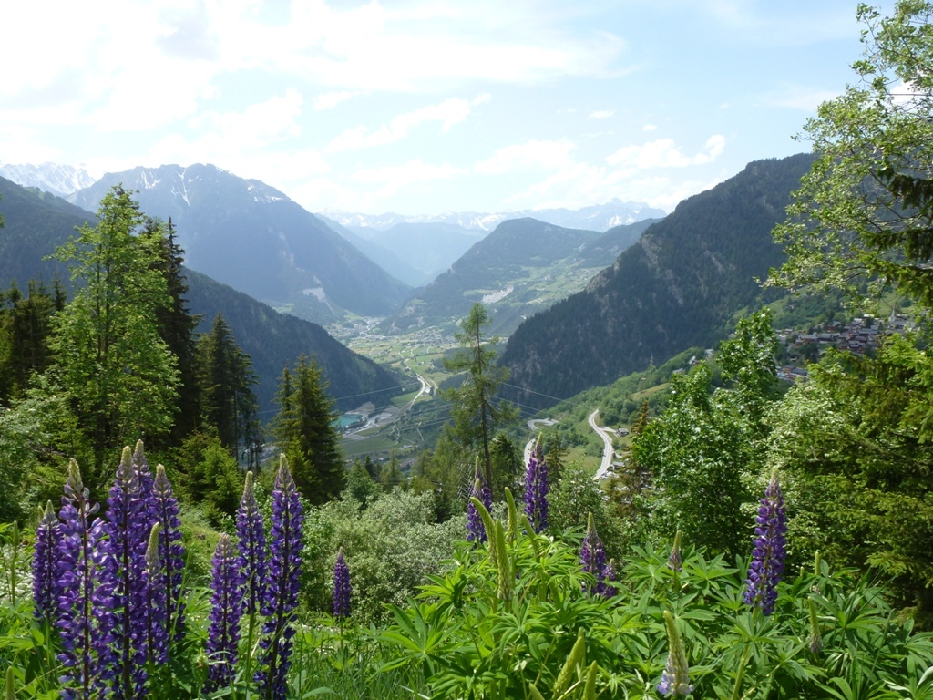 Aussicht gegen Westen 3 Aussicht gegen Westen 3