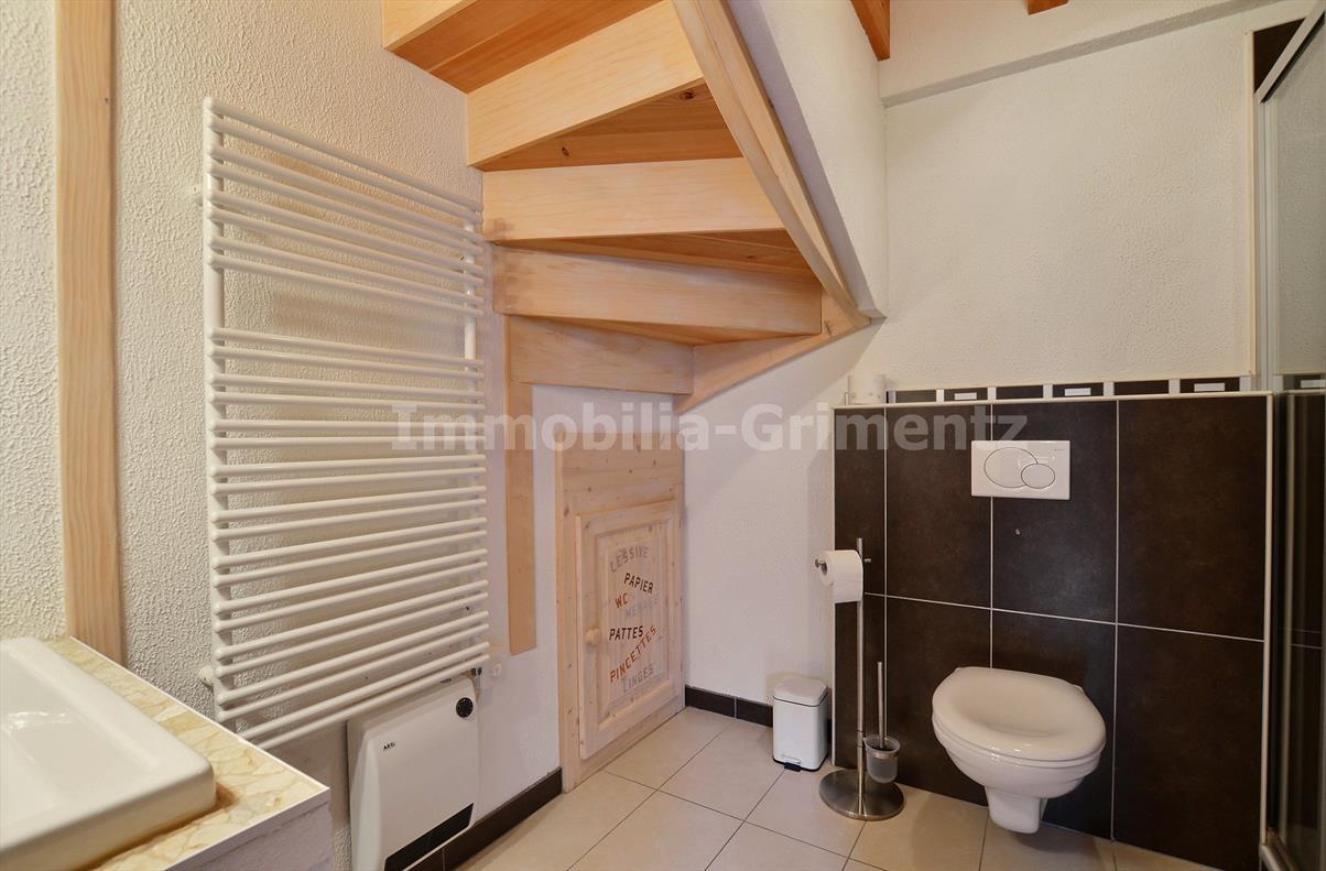 Dusche, WC Erdgeschoss Dusche, WC Erdgeschoss