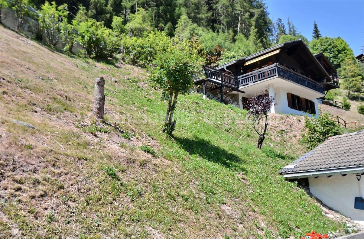 Hausansicht Hausansicht