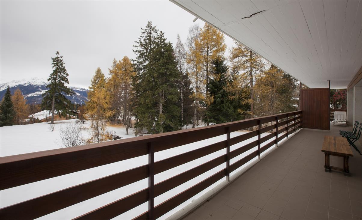 South View South View