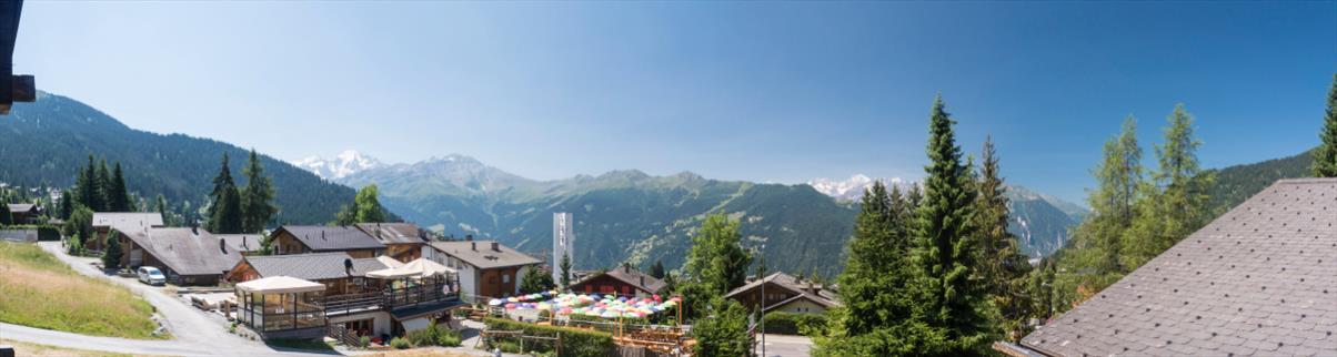 Untitled_Panorama1 Untitled_Panorama1